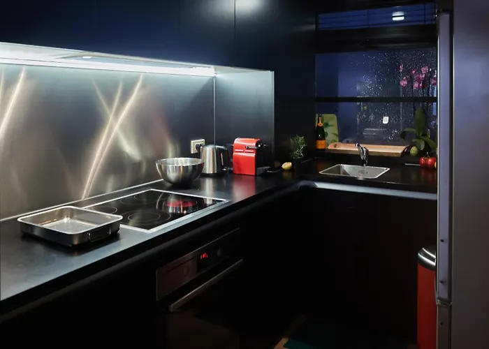 Le France 9 公寓 奥斯滕德